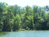 100_5659.jpg